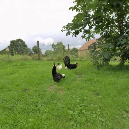 Holiday home Les Coccinelles Cussangy